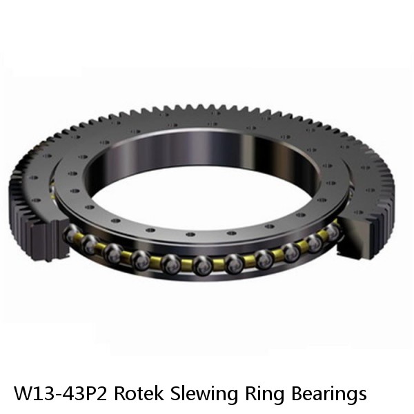 W13-43P2 Rotek Slewing Ring Bearings