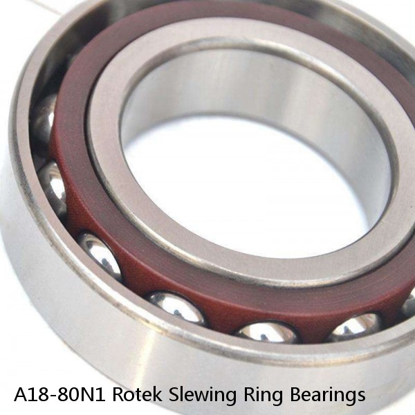 A18-80N1 Rotek Slewing Ring Bearings