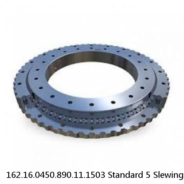 162.16.0450.890.11.1503 Standard 5 Slewing Ring Bearings