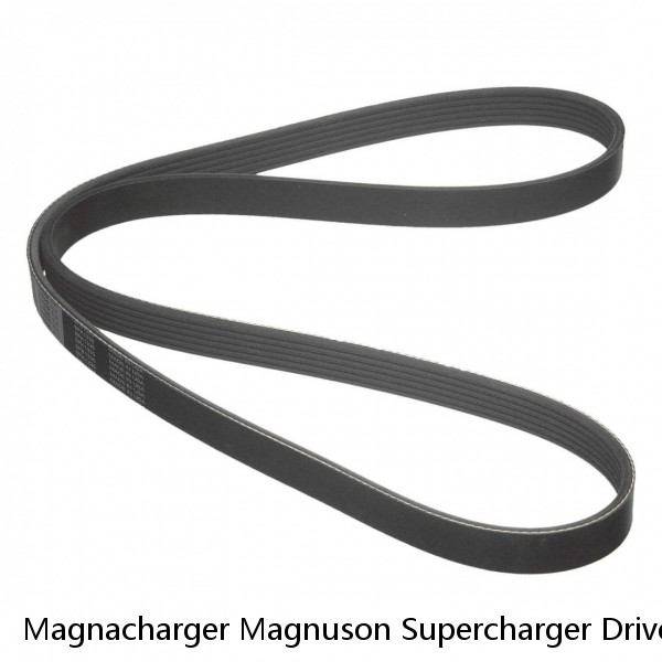 Magnacharger Magnuson Supercharger Drive Pulley Belt 8-Rib 8PK562 K080220 