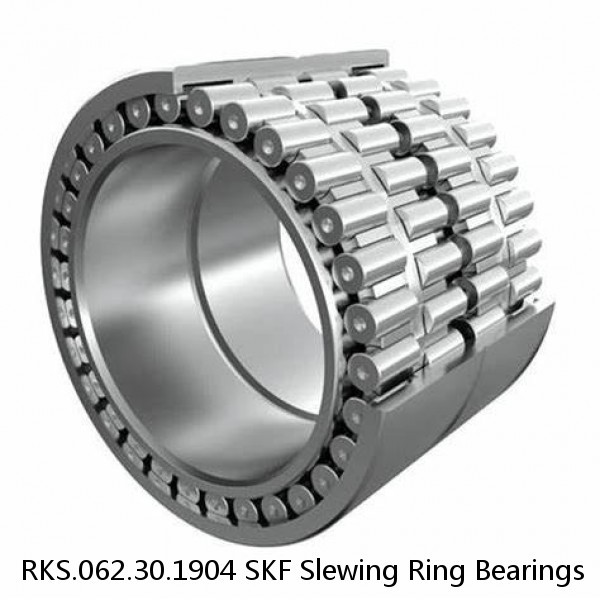 RKS.062.30.1904 SKF Slewing Ring Bearings