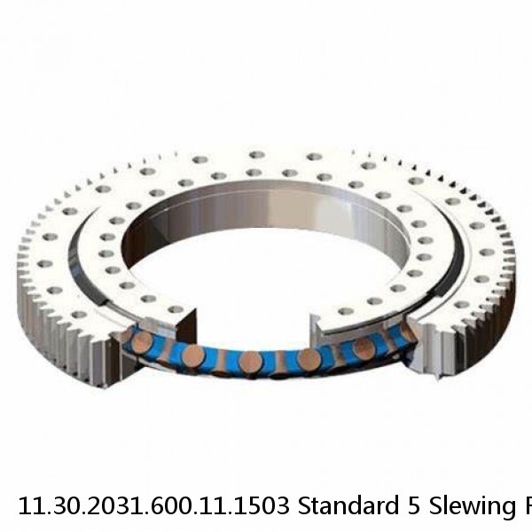11.30.2031.600.11.1503 Standard 5 Slewing Ring Bearings #1 small image