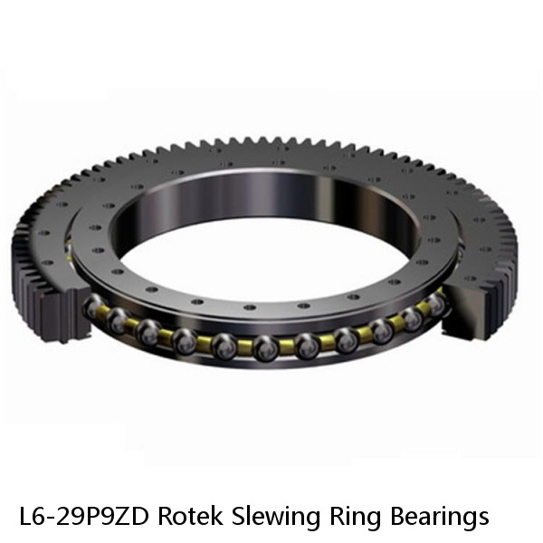 L6-29P9ZD Rotek Slewing Ring Bearings