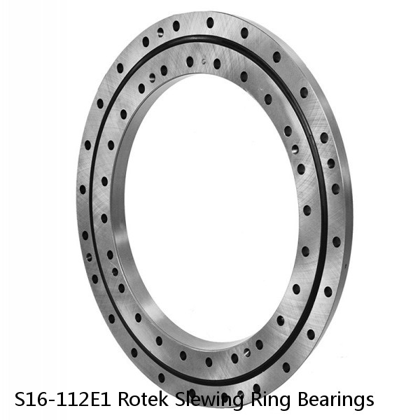 S16-112E1 Rotek Slewing Ring Bearings