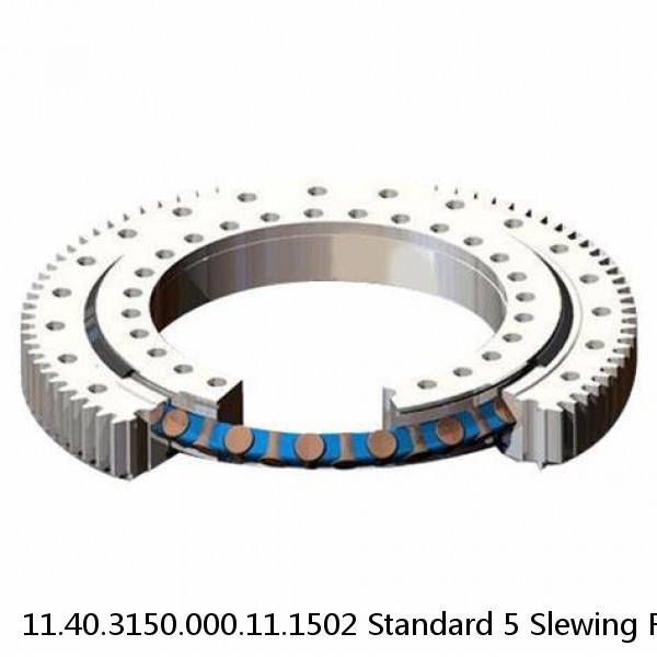 11.40.3150.000.11.1502 Standard 5 Slewing Ring Bearings #1 small image