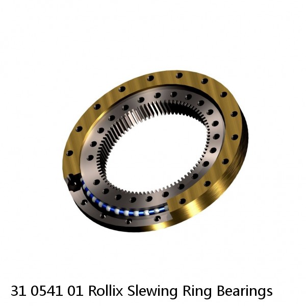 31 0541 01 Rollix Slewing Ring Bearings #1 small image