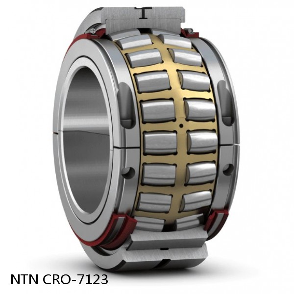 CRO-7123 NTN Cylindrical Roller Bearing #1 small image