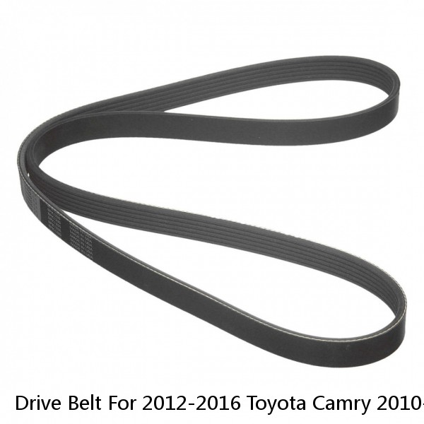 Drive Belt For 2012-2016 Toyota Camry 2010-2015 Lexus RX350 61.02 in. Eff Length