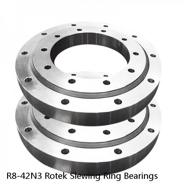 R8-42N3 Rotek Slewing Ring Bearings #1 image