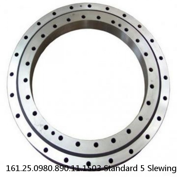 161.25.0980.890.11.1503 Standard 5 Slewing Ring Bearings #1 image