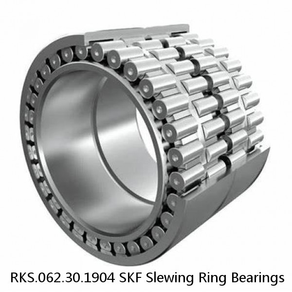 RKS.062.30.1904 SKF Slewing Ring Bearings #1 image