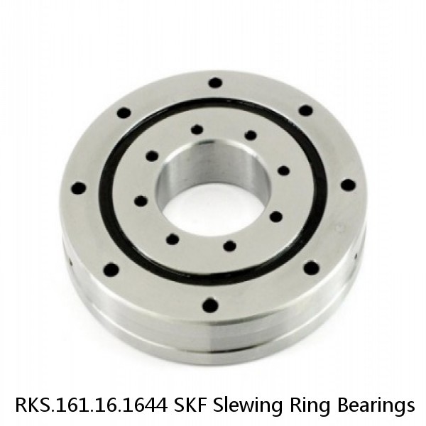RKS.161.16.1644 SKF Slewing Ring Bearings #1 image
