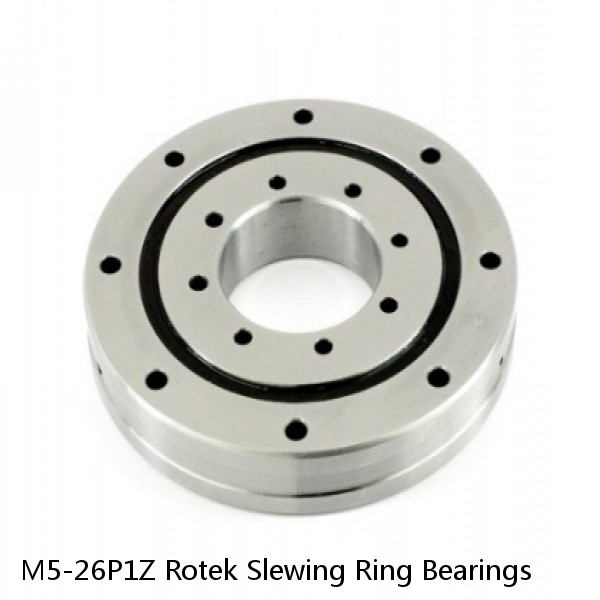 M5-26P1Z Rotek Slewing Ring Bearings #1 image