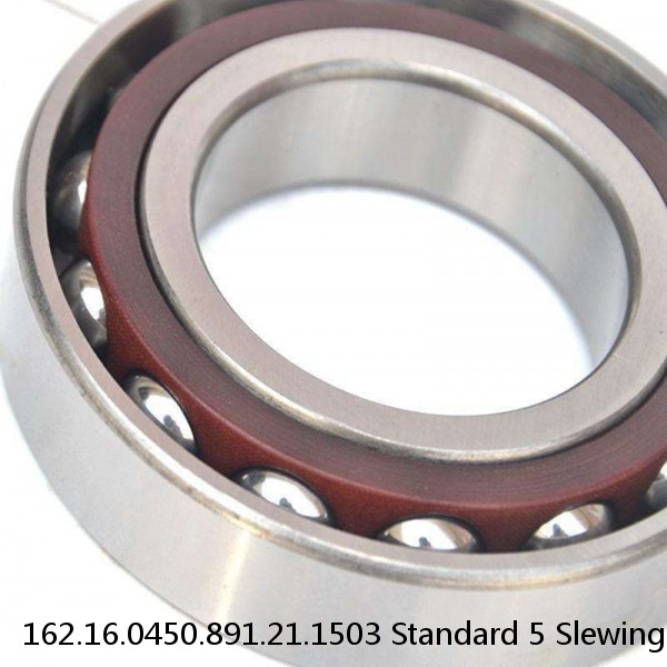162.16.0450.891.21.1503 Standard 5 Slewing Ring Bearings #1 image