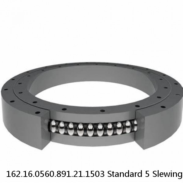 162.16.0560.891.21.1503 Standard 5 Slewing Ring Bearings #1 image