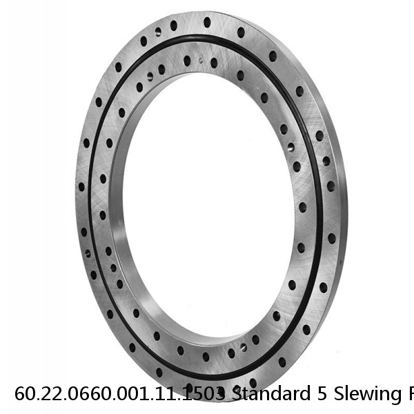 60.22.0660.001.11.1503 Standard 5 Slewing Ring Bearings #1 image