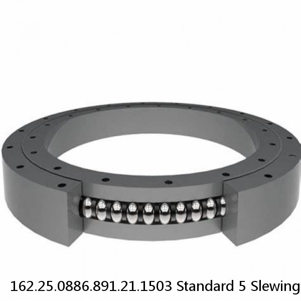 162.25.0886.891.21.1503 Standard 5 Slewing Ring Bearings #1 image